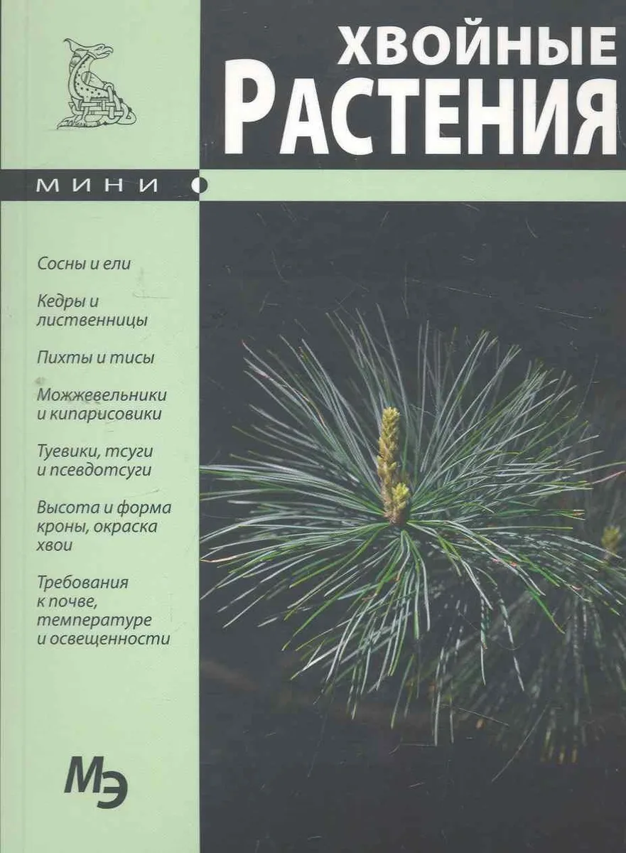 Хвойные растения. Мини энциклопедии