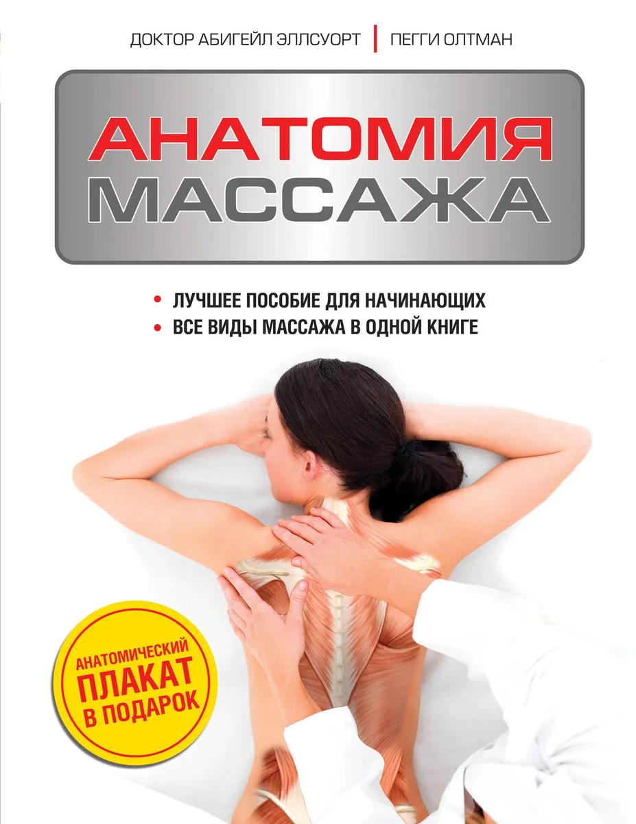 Анатомия массажа