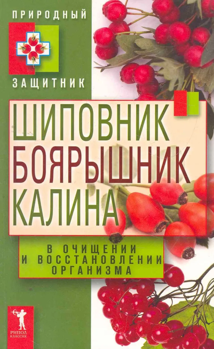 Шиповник боярышник калина в очищении и восстановлении организма