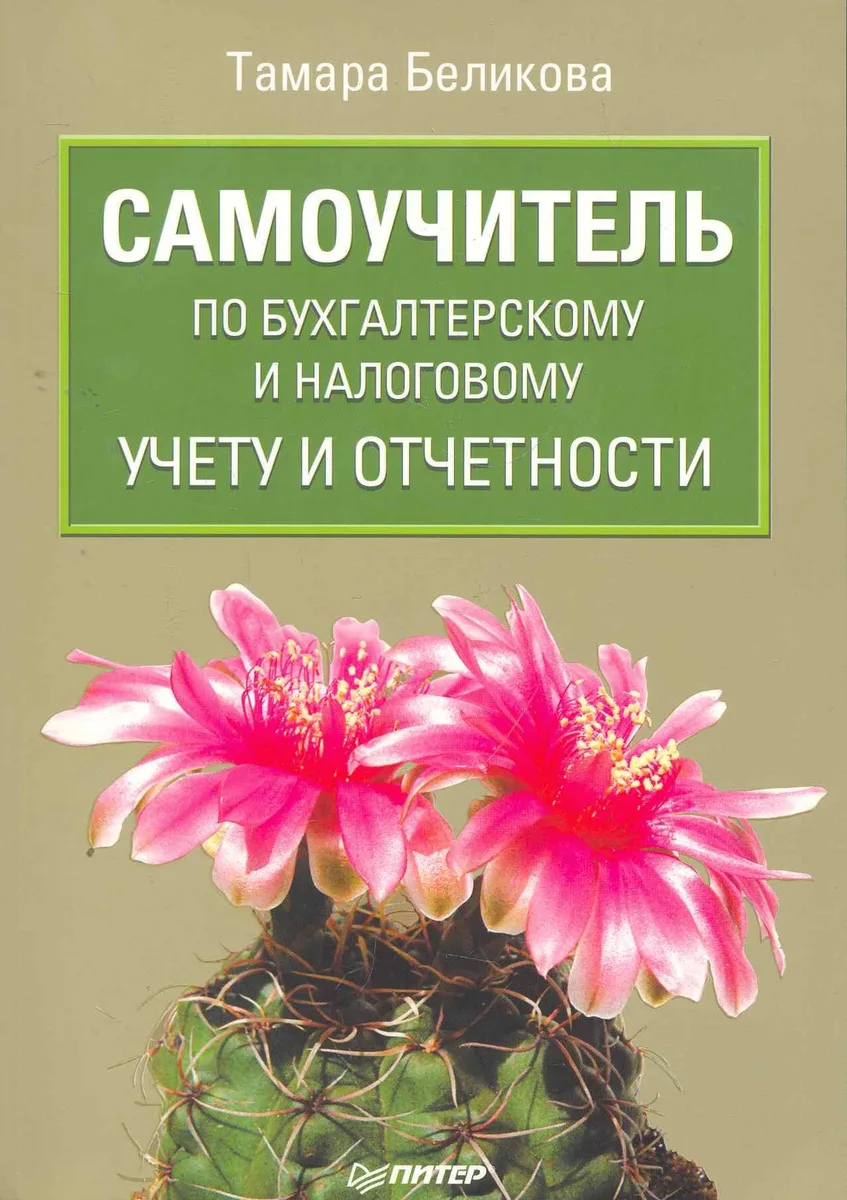 Самоучитель по бухгалтерскому и налоговому учету и отчетности