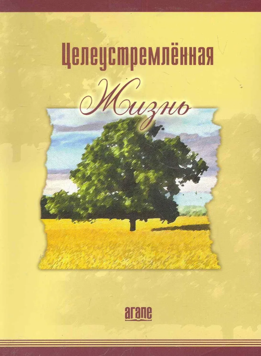 Целеустремленная жизнь (6,7 изд) (м) Уоррен (2 вида)