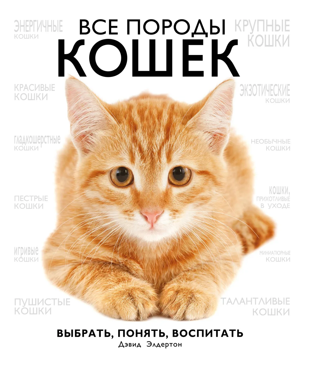 Все породы кошек