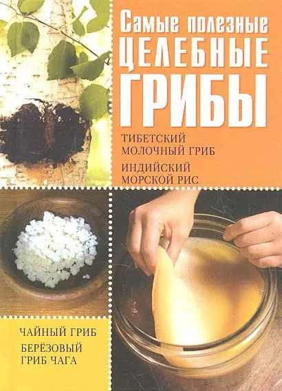 Самые полезные целебные грибы. Чайный гриб, тибетский молочный гриб, березовый гриб чага, индийский морской рис / (Удобная библиотека). Шкитина Е. (Рипол)