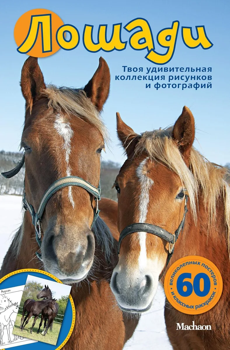Лошади