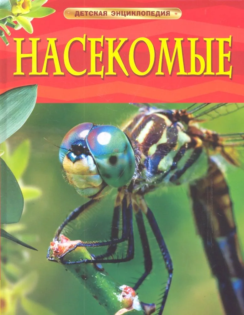 Насекомые.