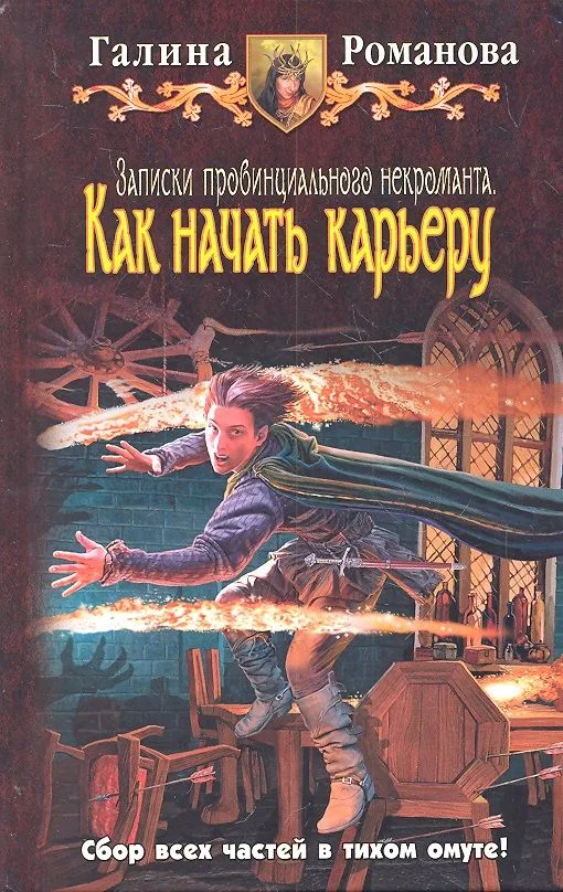 Записки провинциального некроманта. Как начать карьеру: Фантастический роман