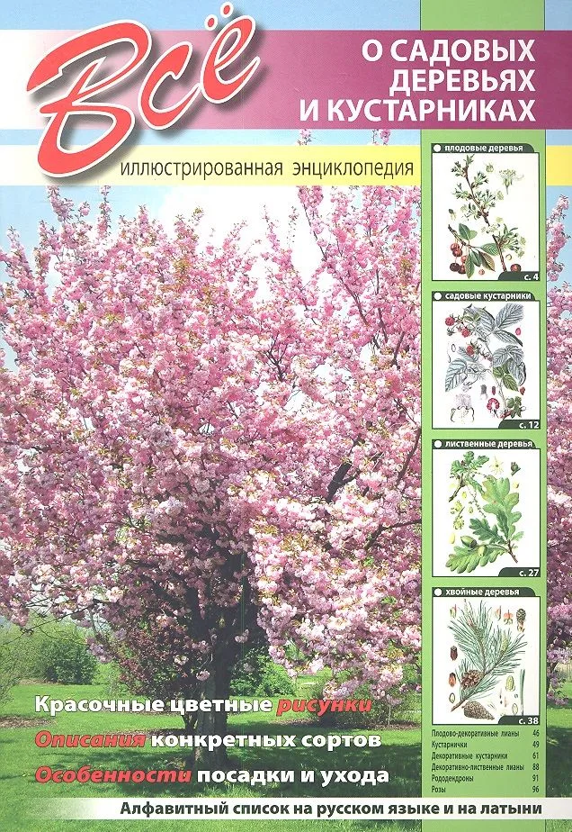 Все о садовых деревьях и кустарниках.