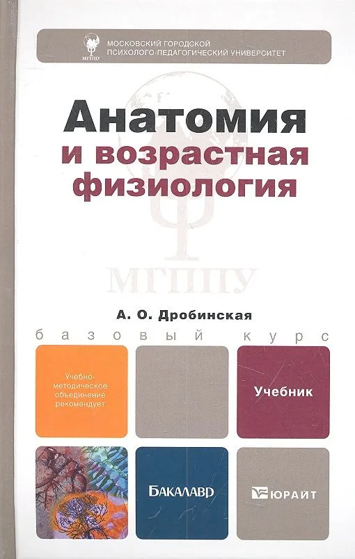 Анатомия и возрастная физиология: учебник для бакалавров