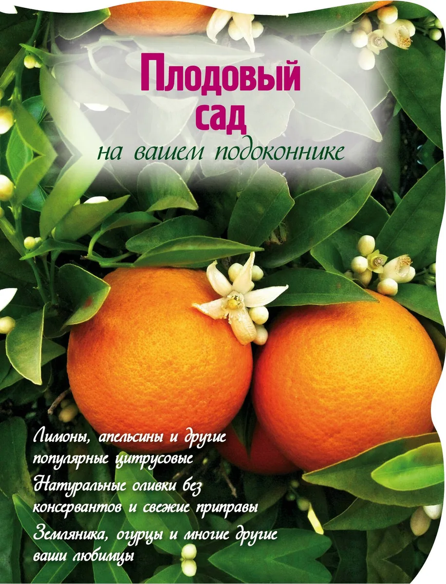 Плодовый сад на вашем подоконнике