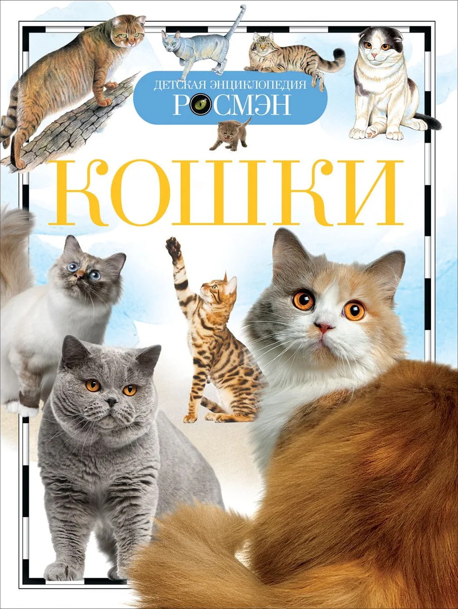 Кошки (ДЭР)