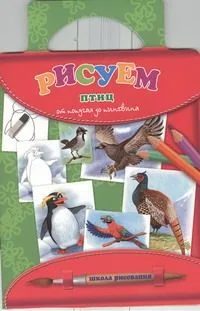 Рисуем птиц