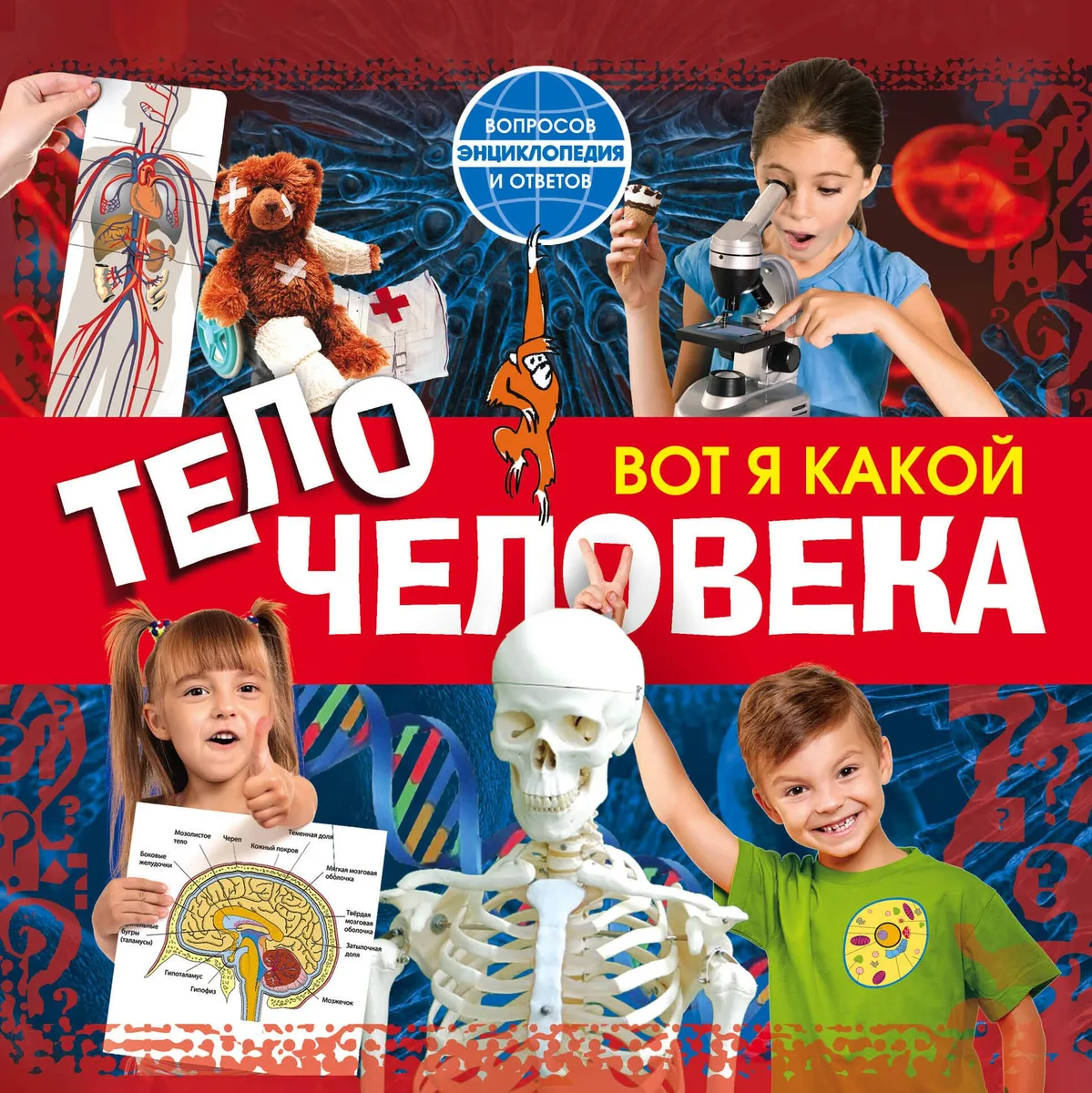 Вот я какой. Тело человека