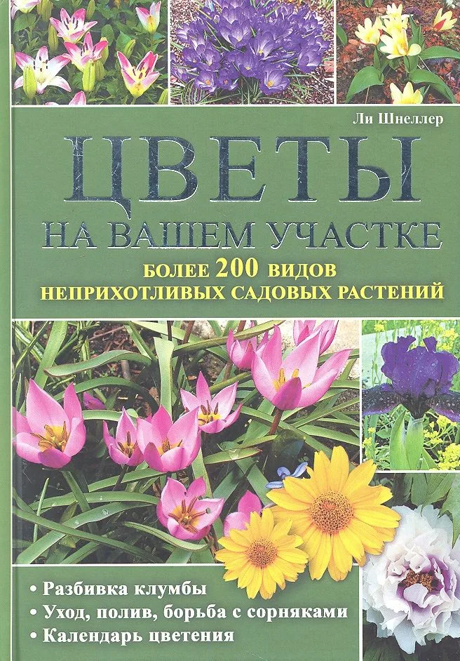 Цветы на вашем участке