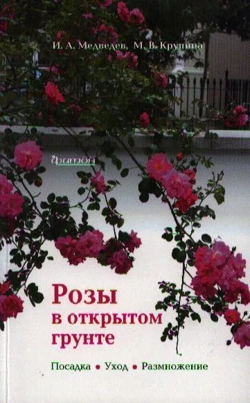 Розы в открытом грунте: посадка, уход, размножение