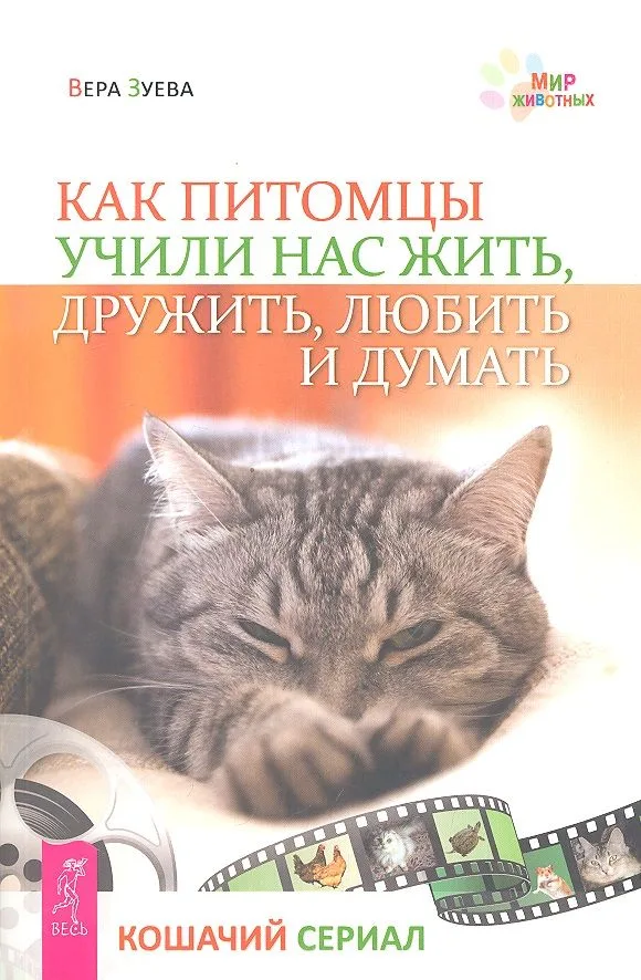 Как питомцы учили нас жить, дружить, любить и думать. Кошачий сериал