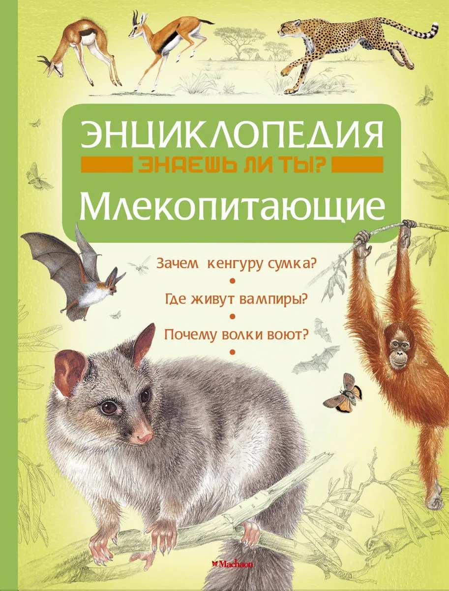 Млекопитающие