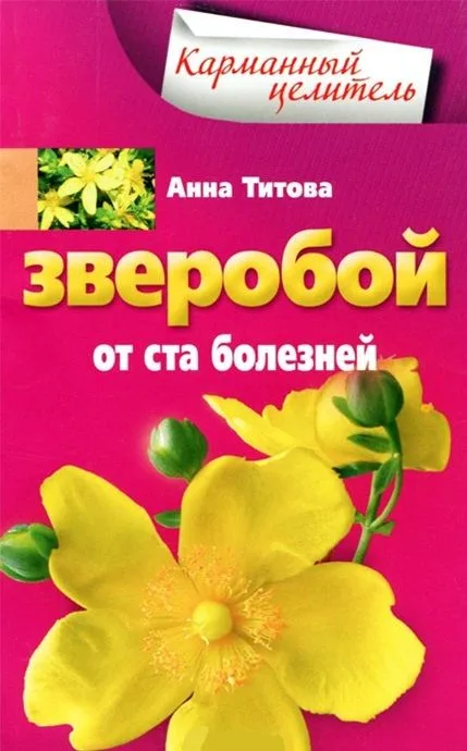 Зверобой от ста болезней