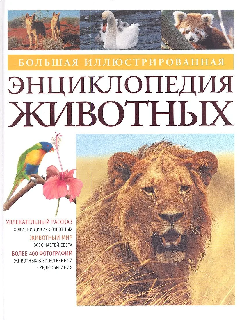 Большая иллюстрированная энциклопедия животных