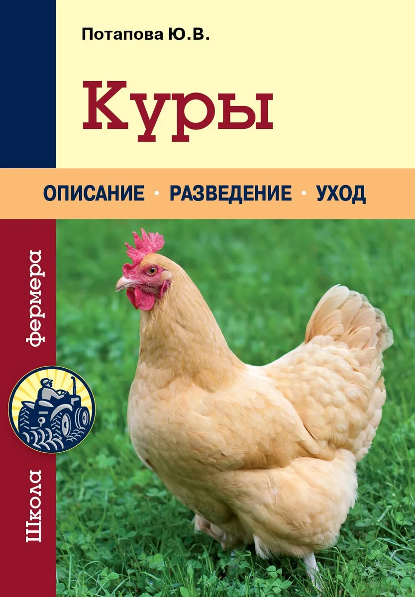 Куры