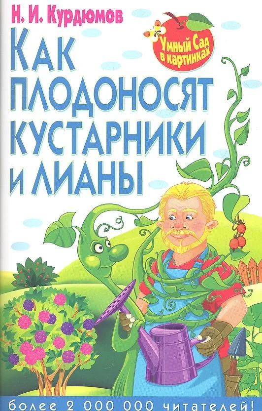 Как плодоносят кустарники и лианы