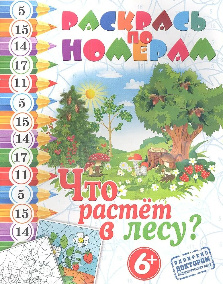 Что растет лесу?