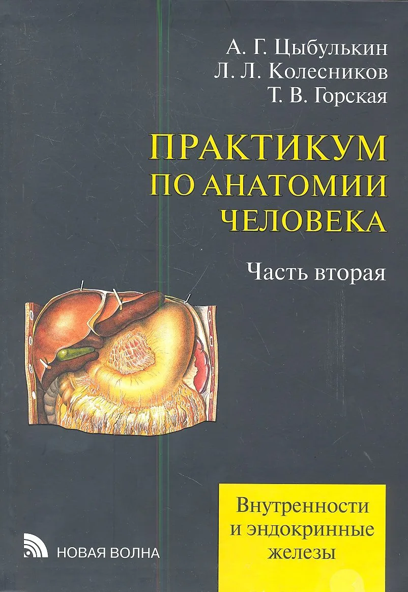 Практикум по анатомии человека. В четырех частях. Часть вторая. Внутренности и эндокринные железы