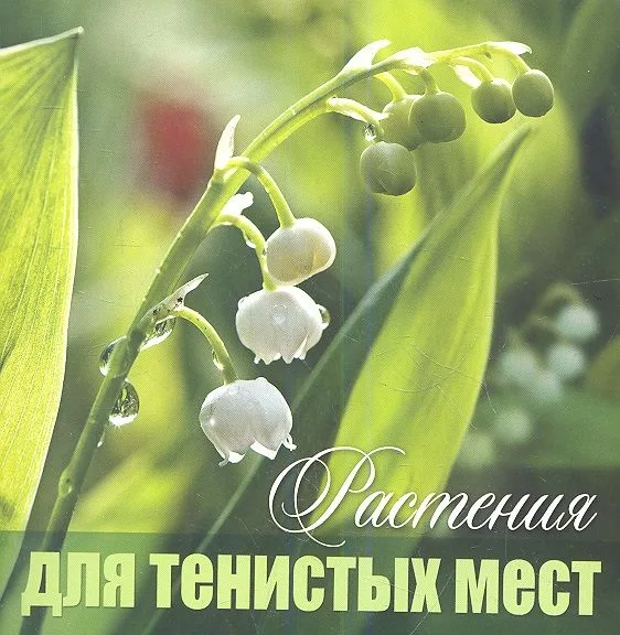 Растения для тенистых мест