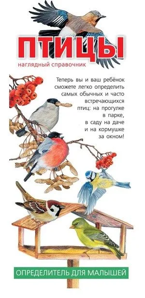 Птицы. Наглядный справочник