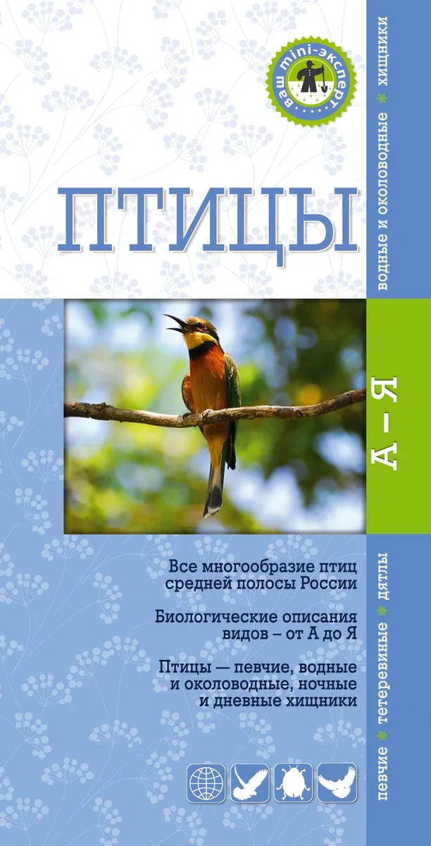 Птицы. Краткий карманный определитель