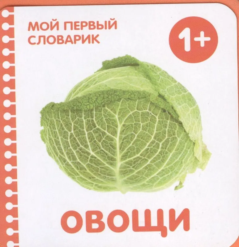 Овощи