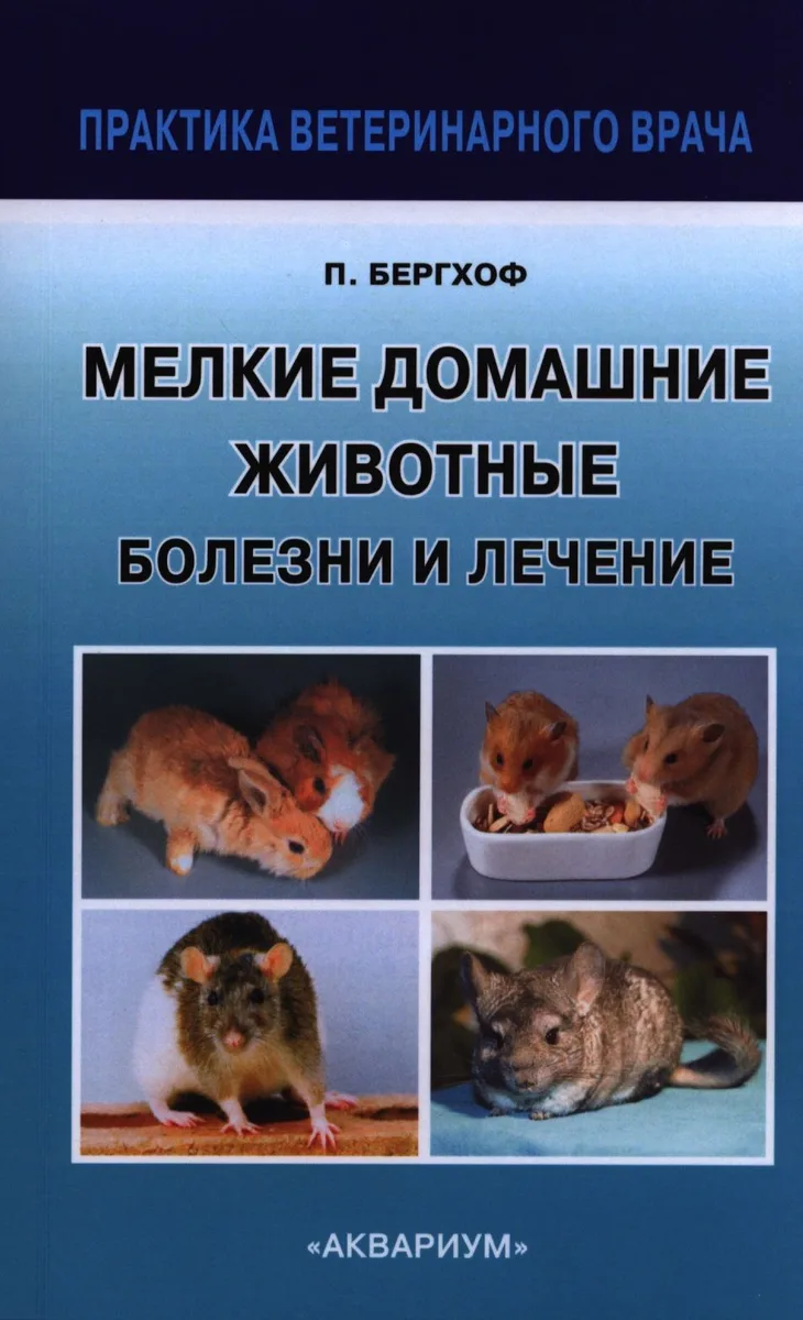 Мелкие Домашние животные. Болезни и лечение