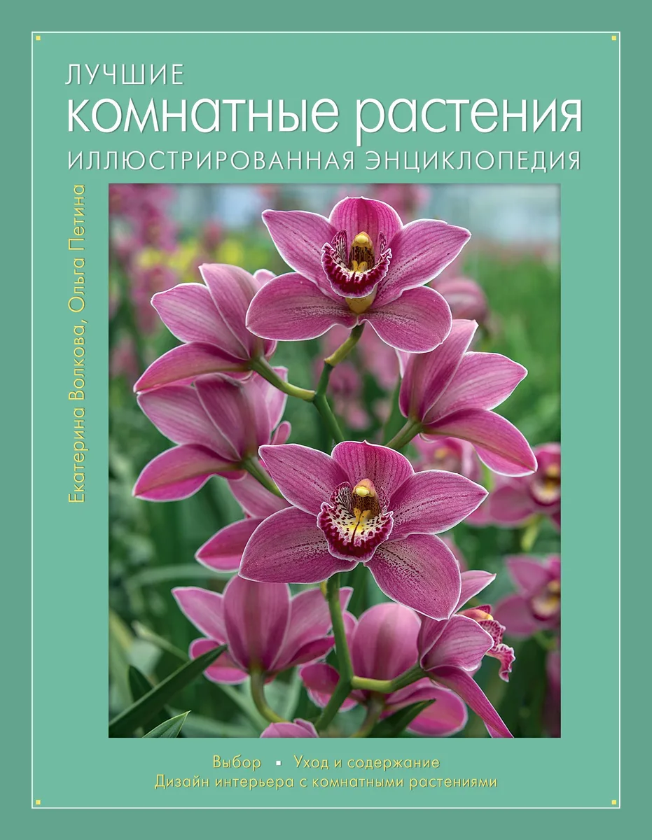 Лучшие комнатные растения: иллюстрированная энциклопедия