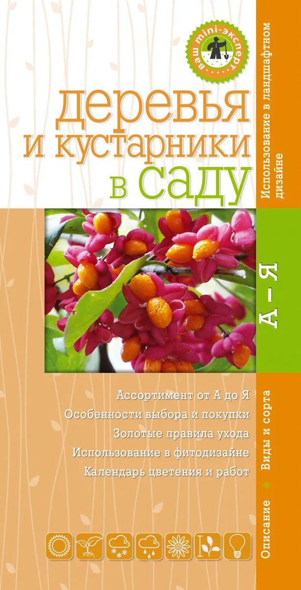Деревья и кустарники. Мини-эксперт
