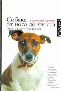 Собака от носа до хвоста