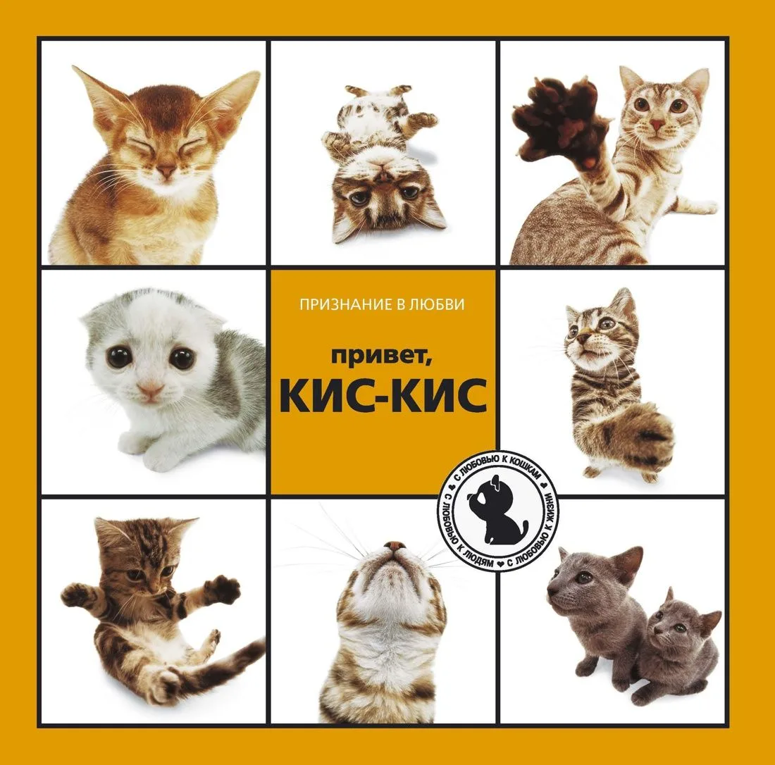 Привет, КИС-КИС