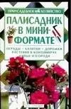 Палисадник в мини-формате: Ограды, калитки, дорожки, растения в контейнерах, живые изгороди