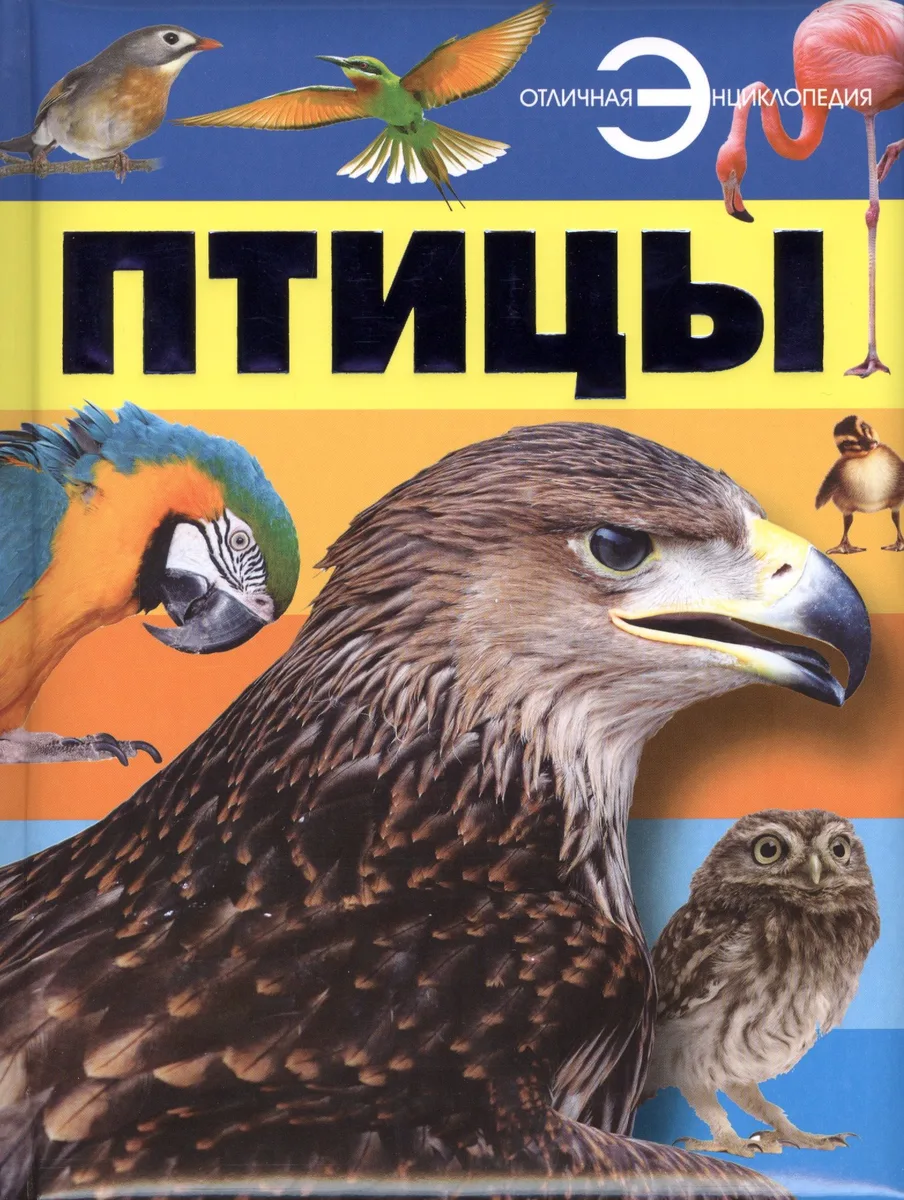 Птицы