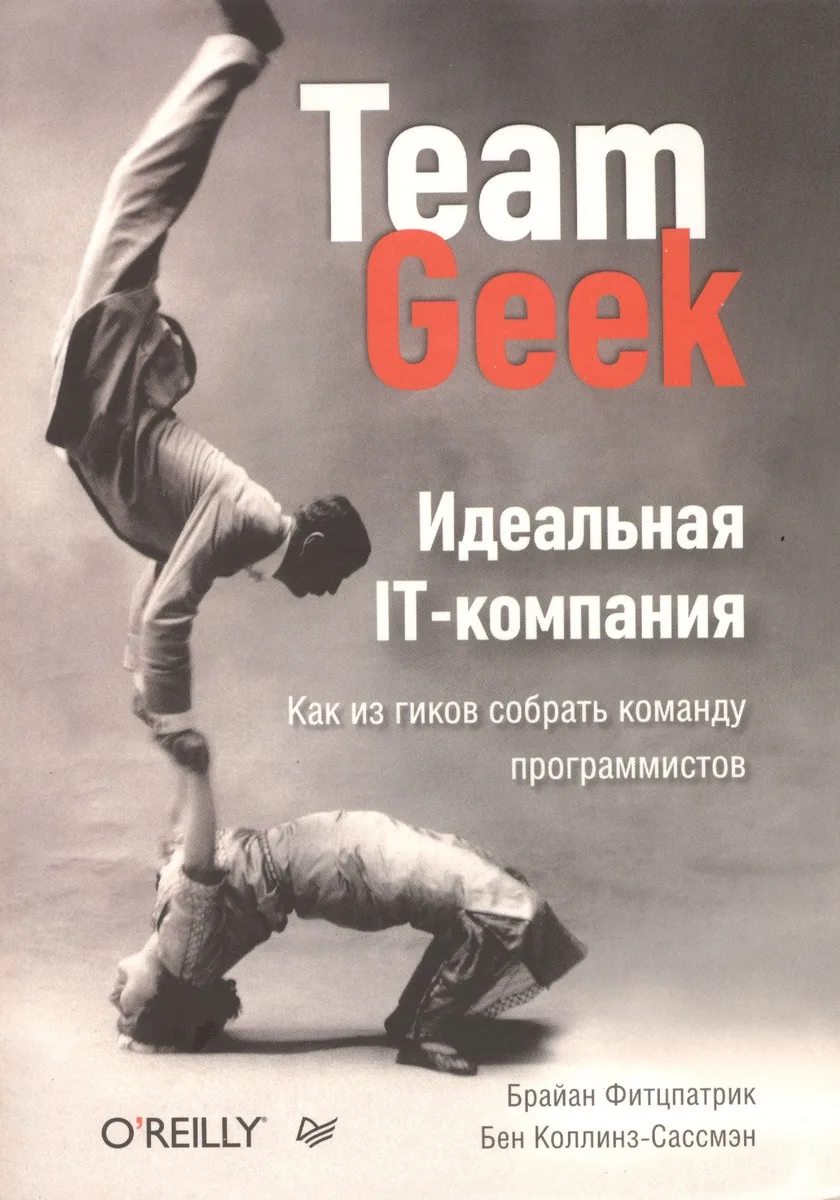 Идеальная IT-компания. Как из гиков собрать команду программистов.