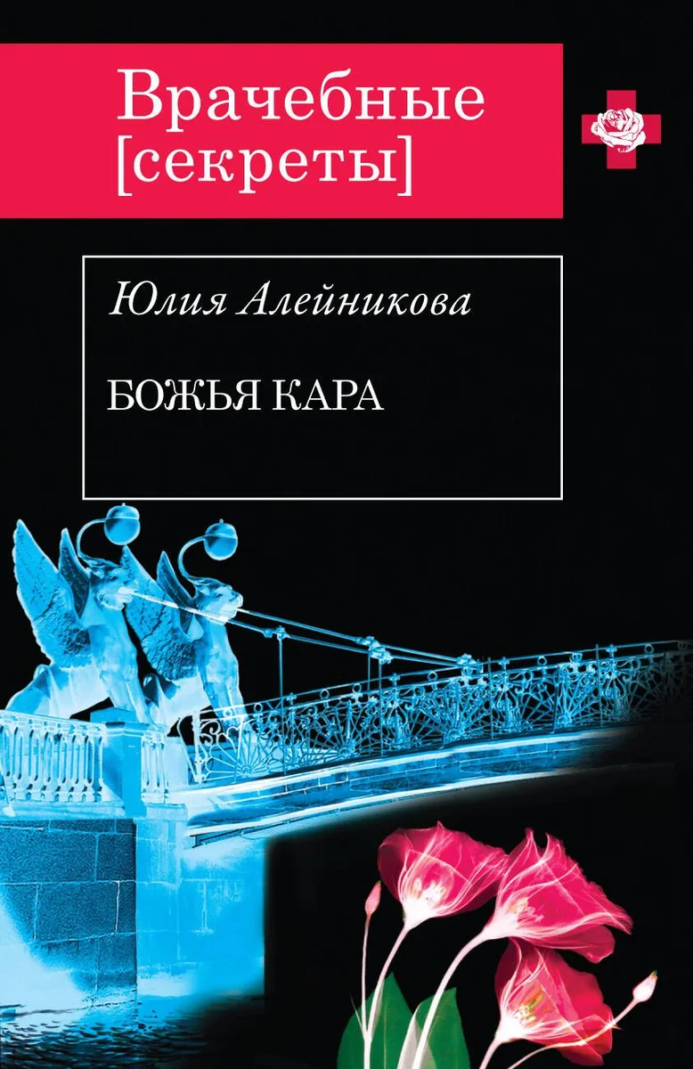 Божья кара: роман