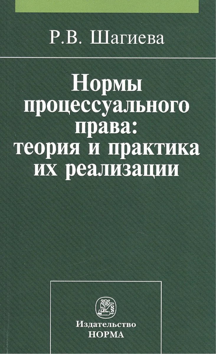 Нормы процессуального права: теория и практика их реализации: Монография