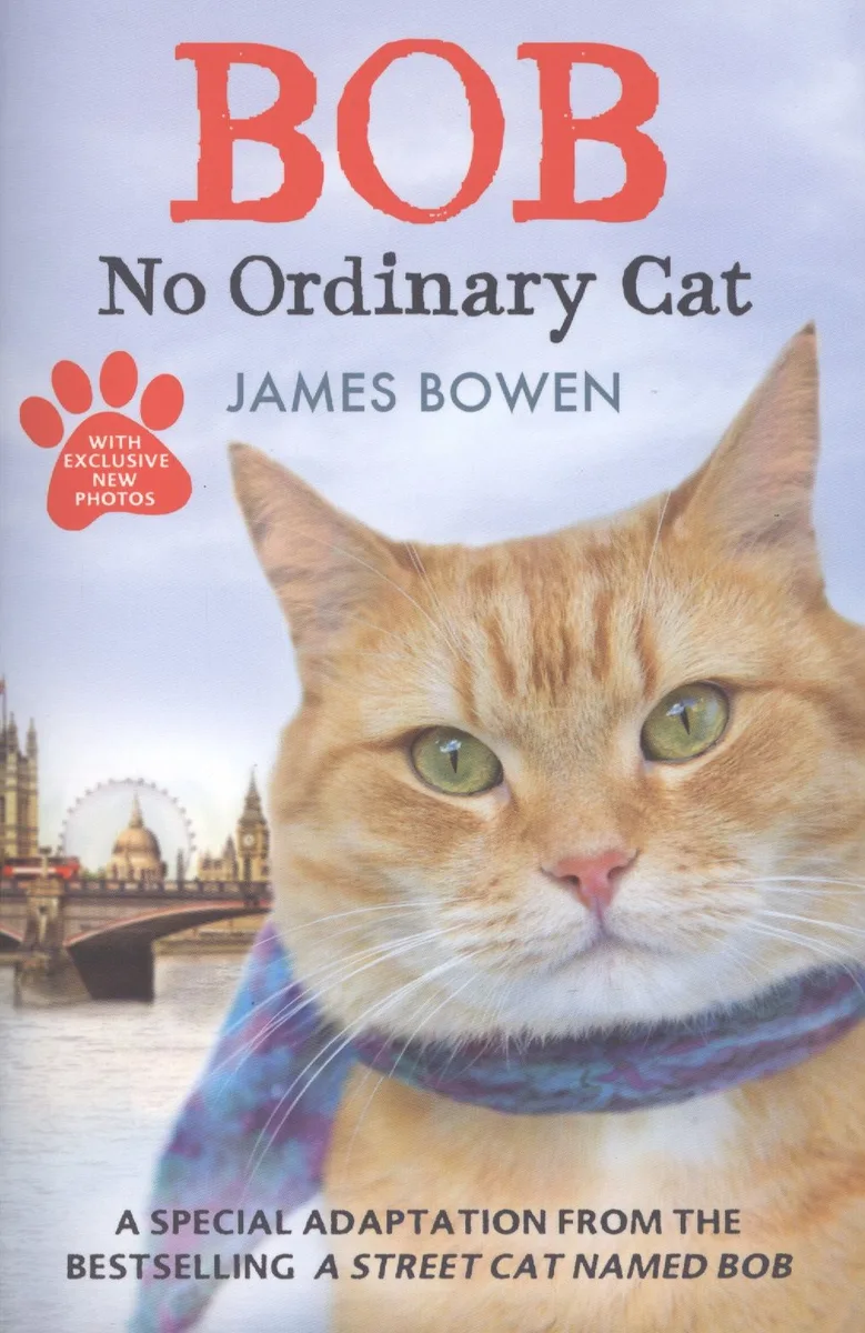 Bob: No Ordinary Cat