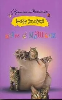 Коты в мешках