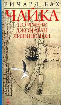Чайка по имени Джонатан Ливингстон