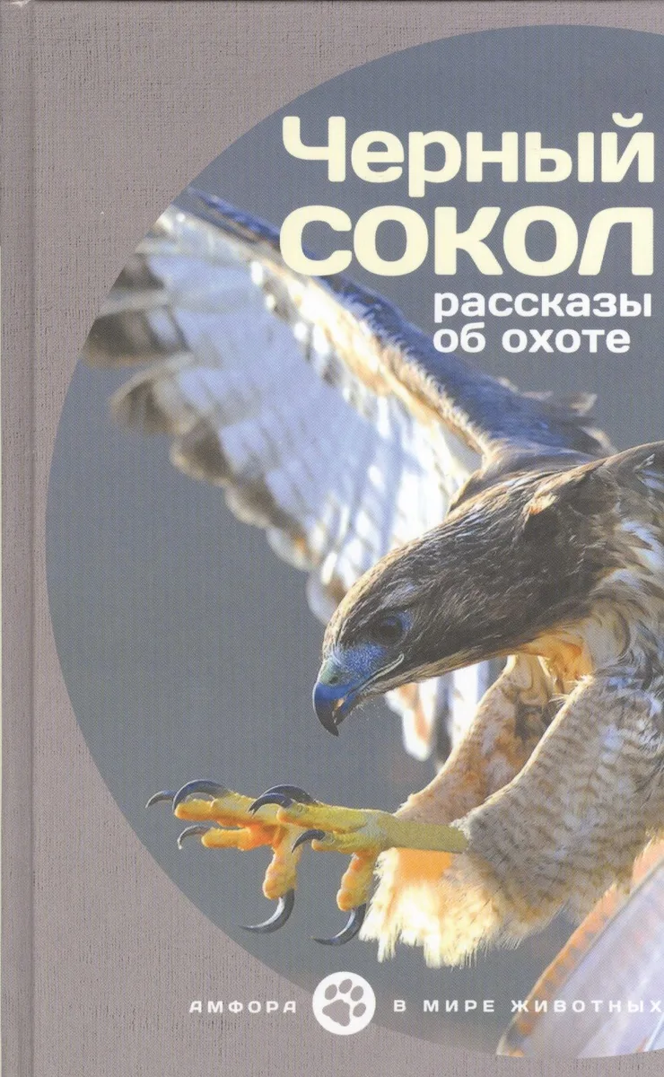 Черный сокол