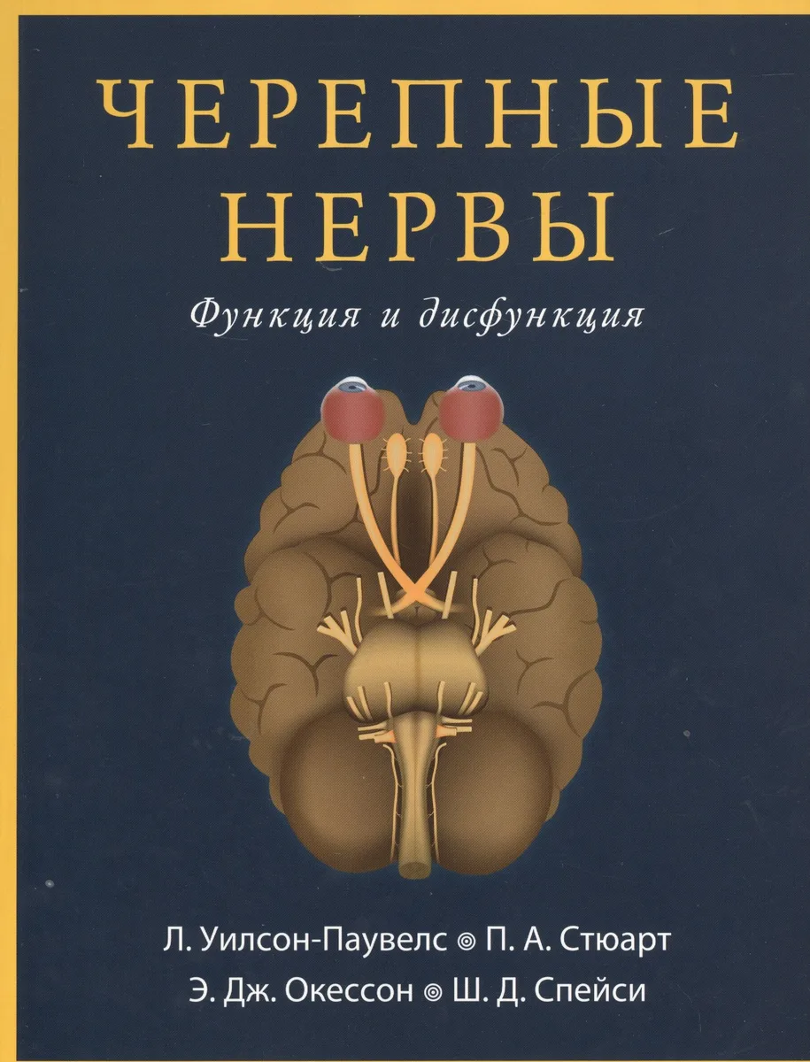 Черепные нервы. Функция и дисфункция