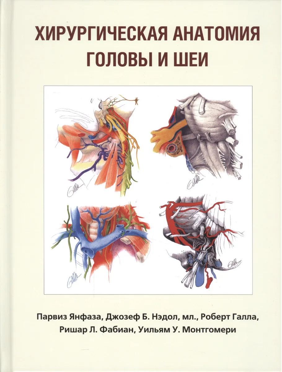 Хирургическая анатомия головы и шеи