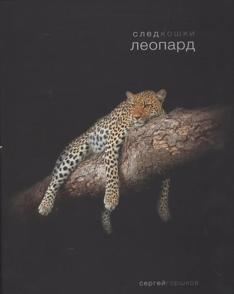 След кошки.Леопард