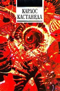 Второе кольцо силы. Дар орла