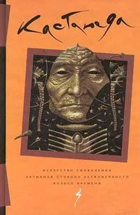 Искусство сновидения. Активная сторона бесконечности. Колесо времени