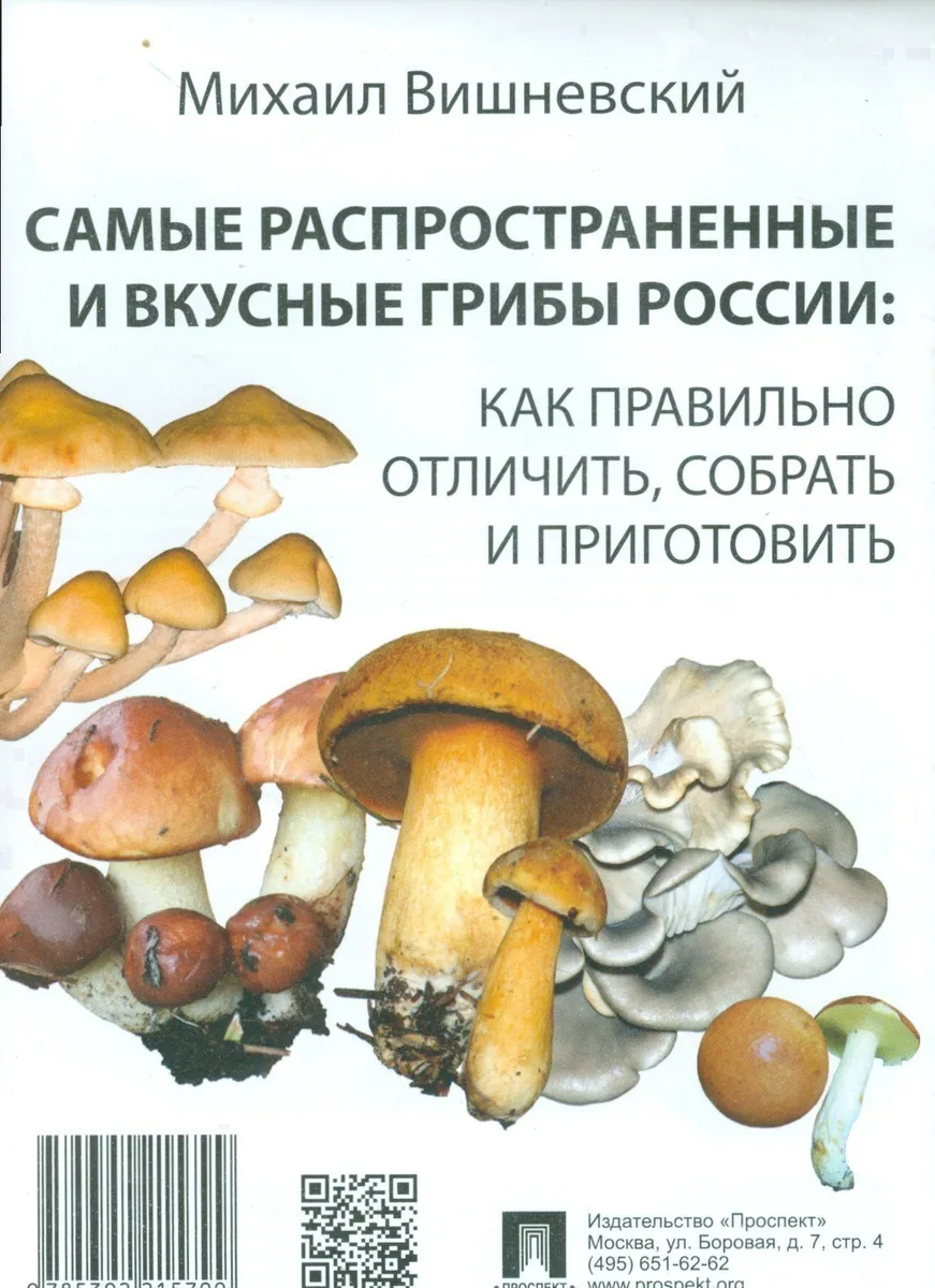 Самые распространенные и вкусные грибы России: как правильно отличить, собрать и приготовить.